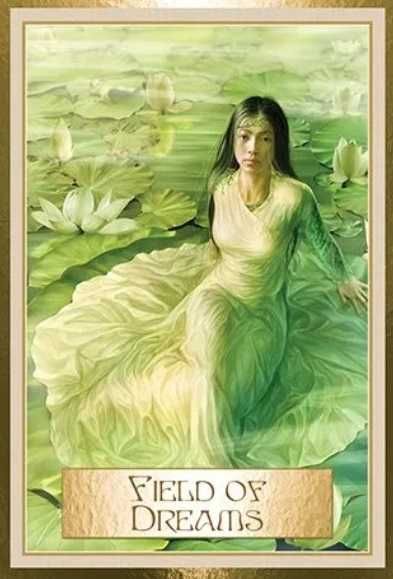 Ințelepciunea Căii de Aur,Set Carti oracol+carte format mare,ed lim-SG