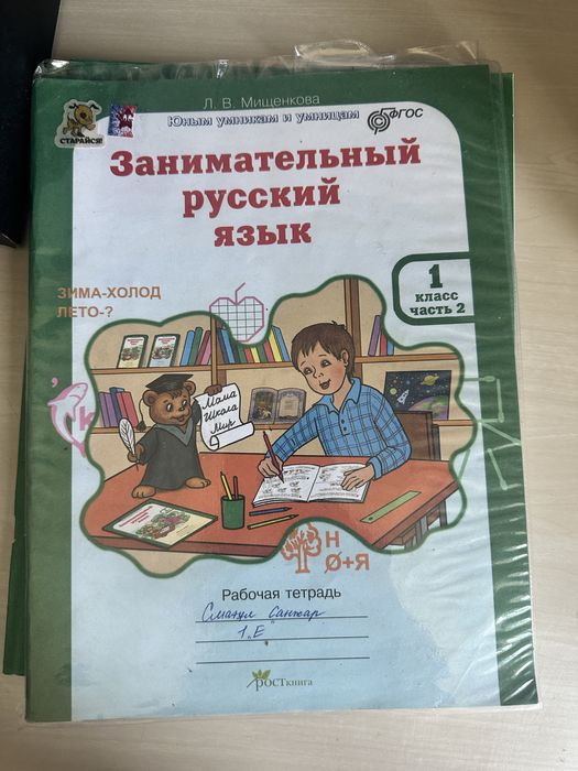 Занимательный русский язык, юным умникам и умницам