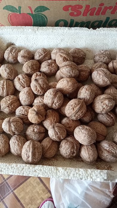 Грецкие орехи крупные