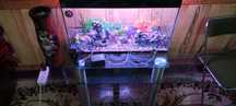 akvarium hamma narsasi bilan 100l