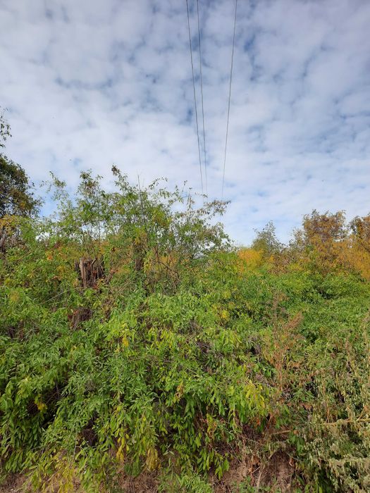 Земеделски имот в град  Плевен