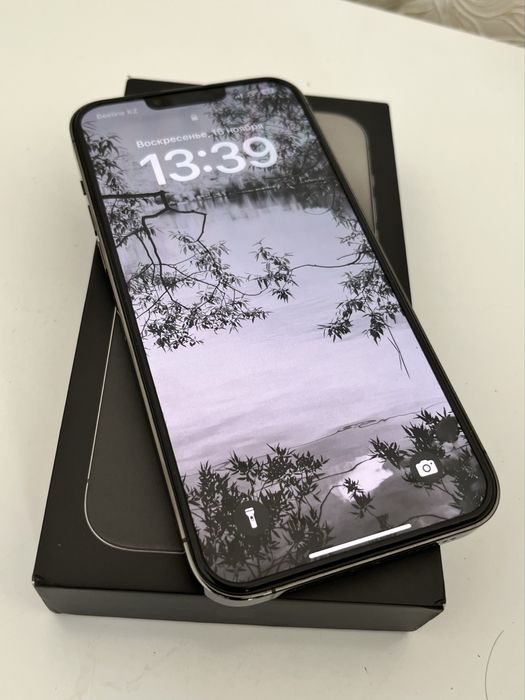 iPhone 13 Pro Max 512Gb Grey