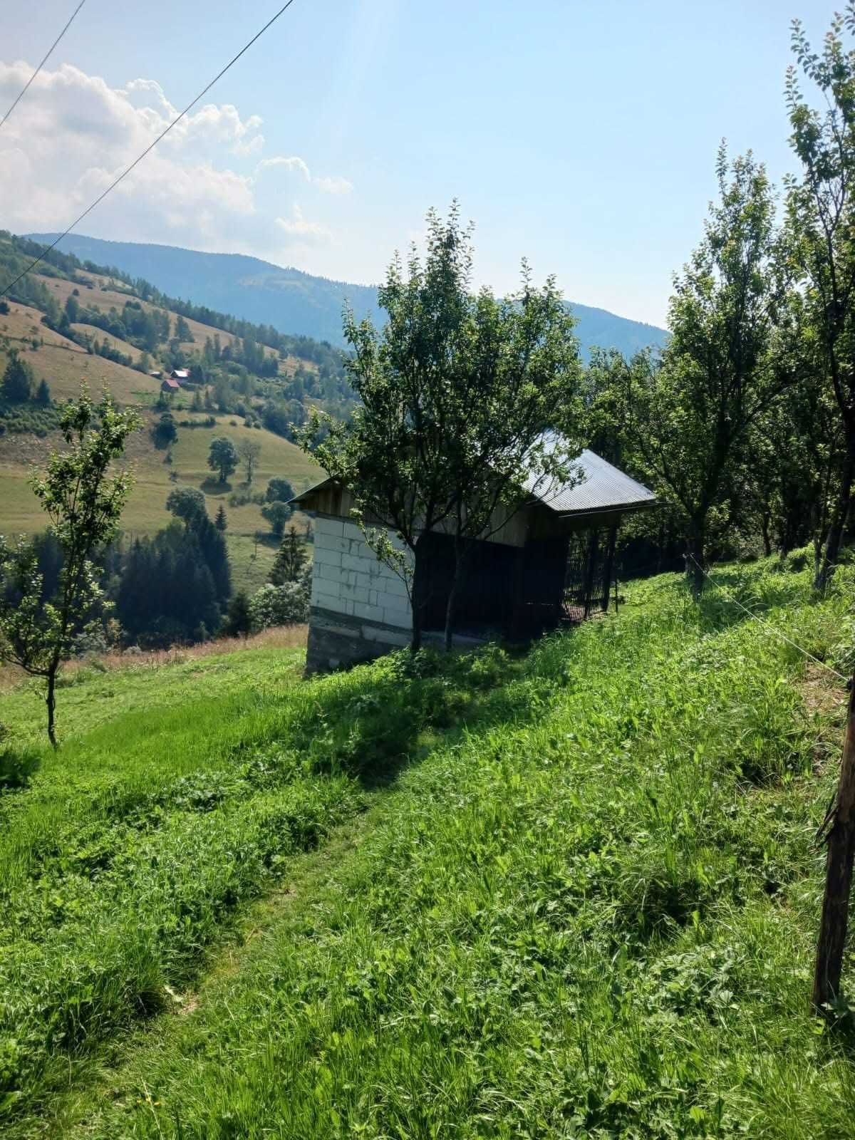 Casa de vacanta Muntii Apuseni