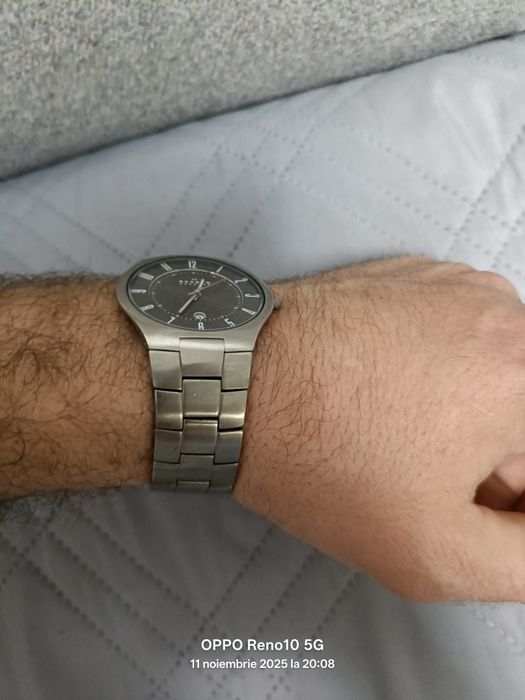 Ceas barbătesc Skagen