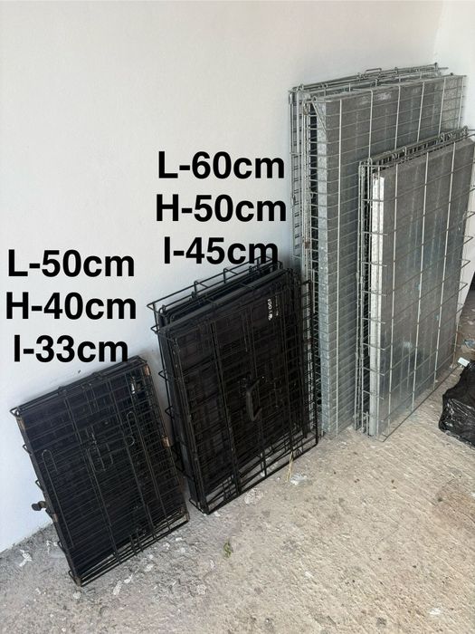 Vand custi transport