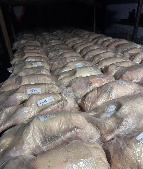 Продам мясо гусей