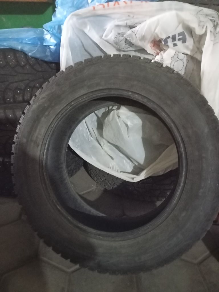 Шипованные шины Nokian R17