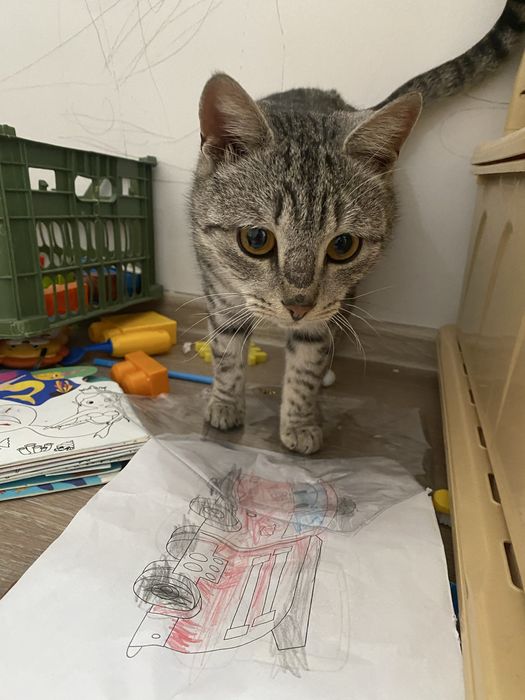 Продам продам продам