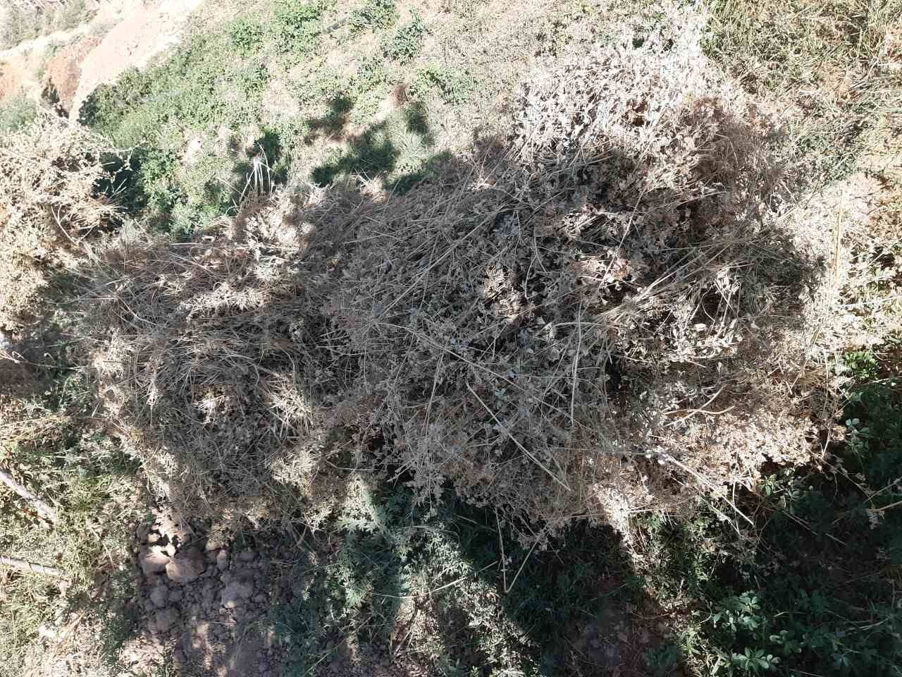 Kuk beda sotiladi