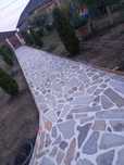 Vând plante ornamentale oriunde în țară execut grătare cascade cu tot