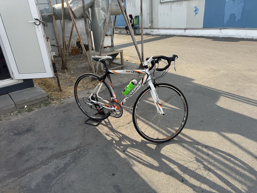 Cursiera Sprint Monza Race