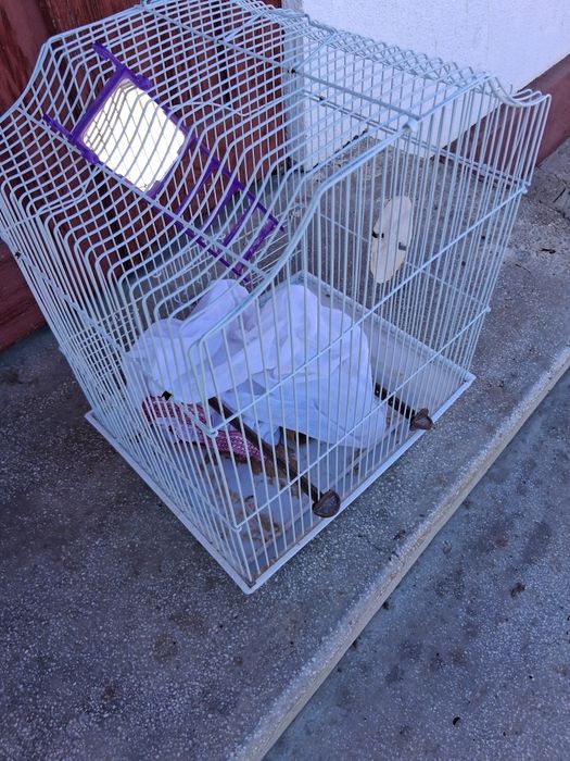 Colivie 412 folosită ,se vinde si nu trimit in țară