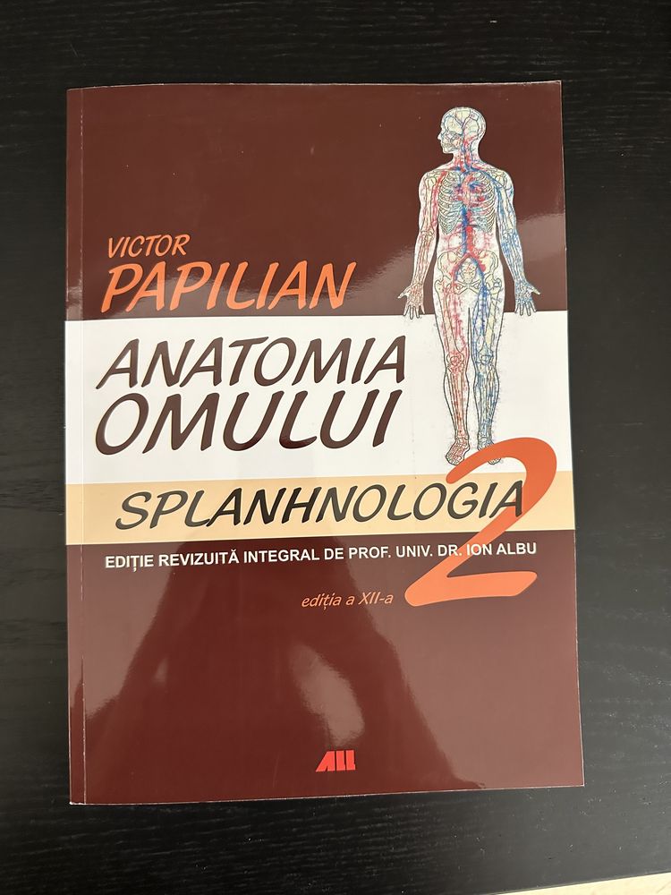 Papilian anatomia omului