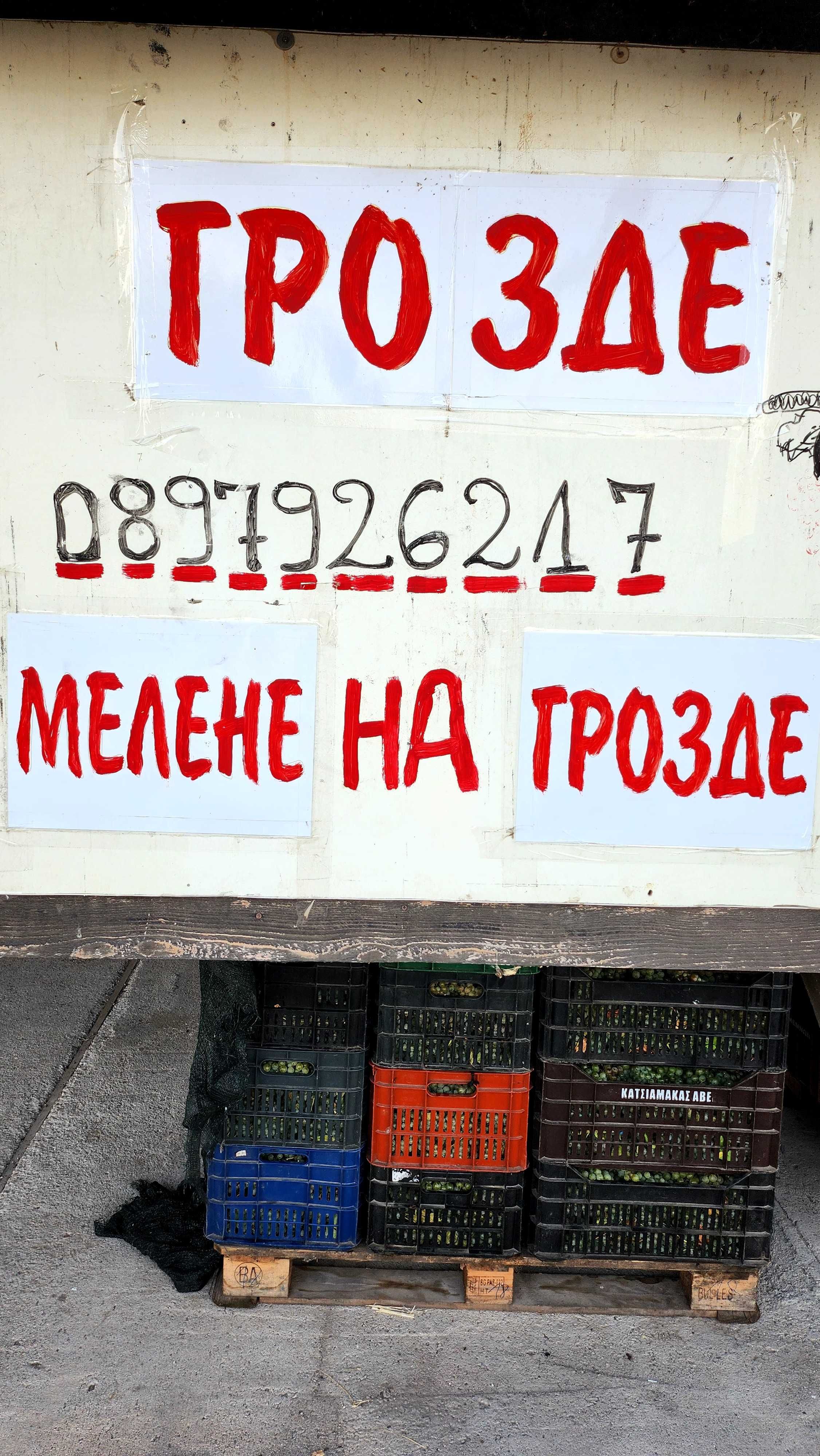 Грозде за вино и ракия  Мускат отонел,Шардоне,Совиньон блан,Юни блан