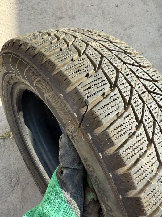 Шины зимние Triangle 195/60 R15