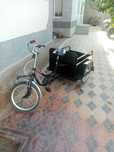 Velosiped juda zur