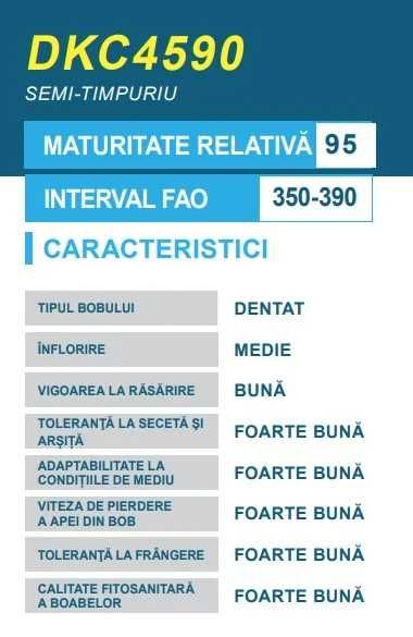 Seminte de porumb Dekalb DKC 4590, FAO 350, 80.000 boabe