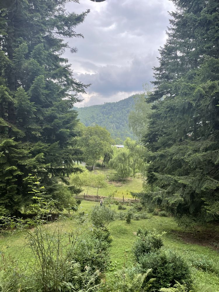 Cabana Din Busteni In Geoparcul Unesco Tinutul Buzaului