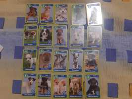 127 cartonase Gradinita de animale