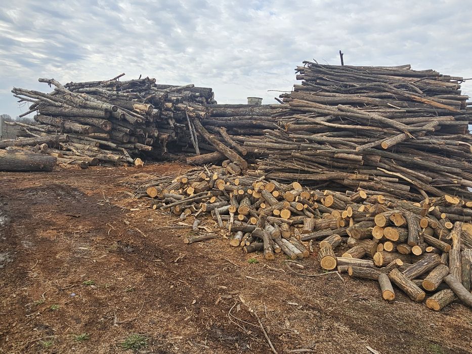 Lemn foc, peleti, brichete, cherestea