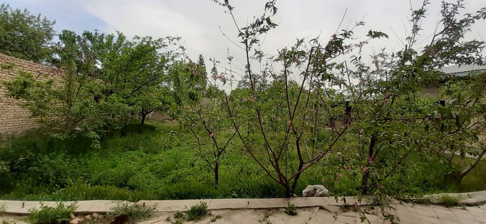 Продаётся участок с готовым бизнесом