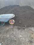 Pamant vegetal plante gradina mranita