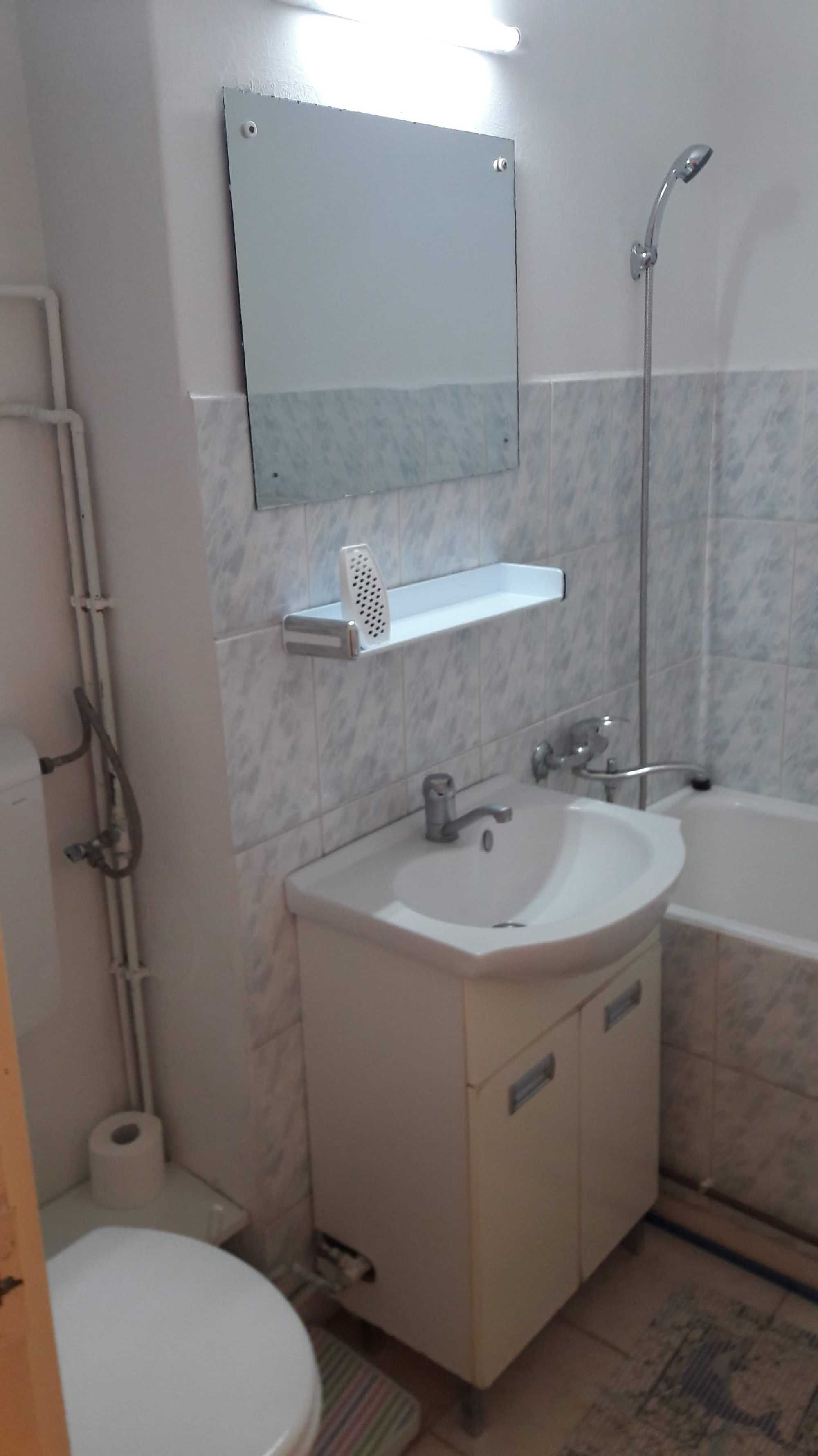 Apartament cu o cameră de închiriat în Aleea Carpați