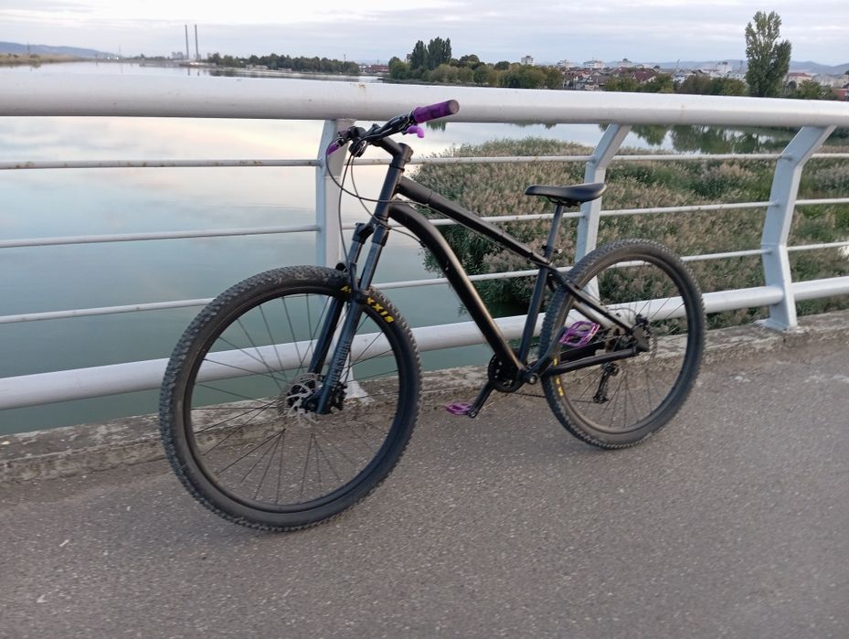 Rockrider st 120 (greu modificat)