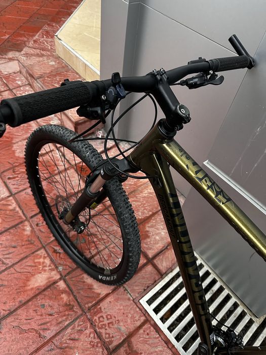 Bergamont Revox 6 29 XXL