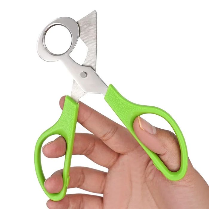 Ножица за пъдпъдъчи яйца