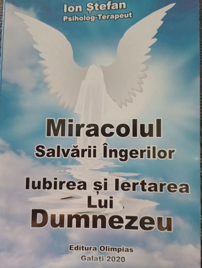 Miracolul salvării Îngerilor ,Iubirea și Iertarea lui Dumnezeu de Ion