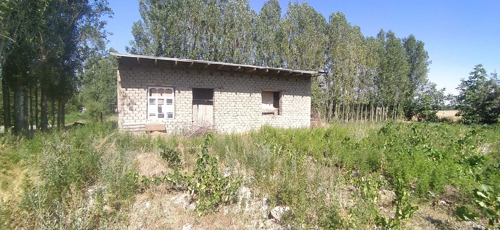 Er ychaska sotiladi 2xonali bogi bor 85tup uzum bor xosilga kirgan