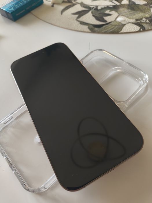 Vand/schimb IPhone 16 pro max, 512GB impecabil, varianta e-sim