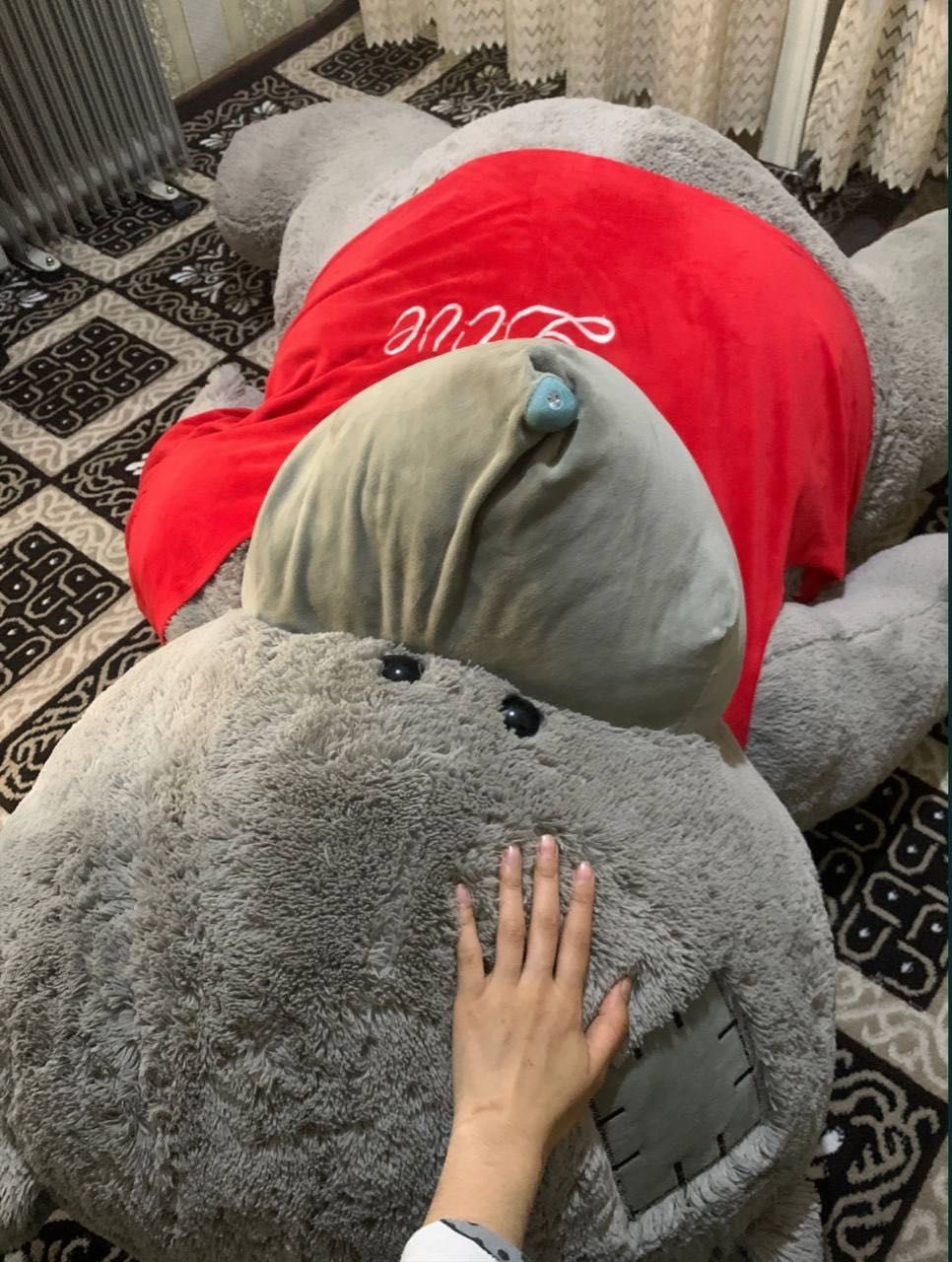 Teddy ayiqcha katta va og’ir