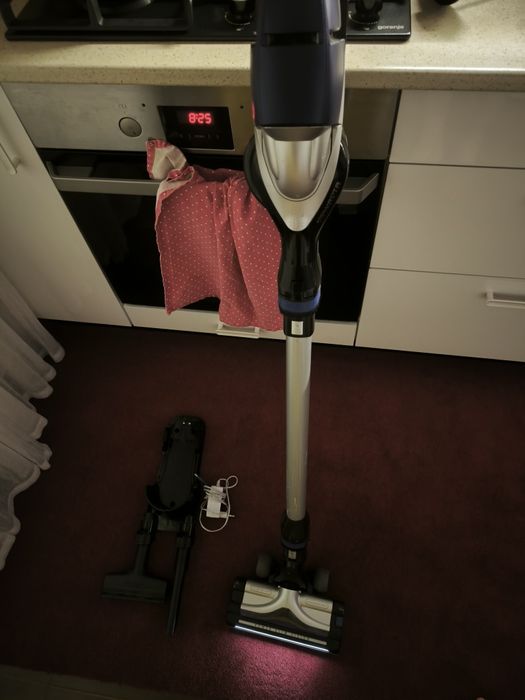 Aspirator vertical ROWENTA