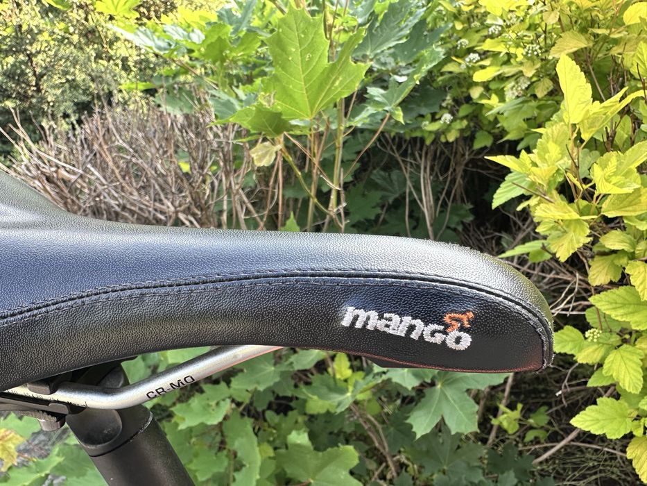 Single speed bike - Mango