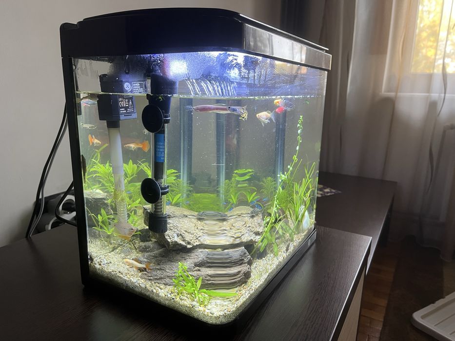 Acvariu complet echipat