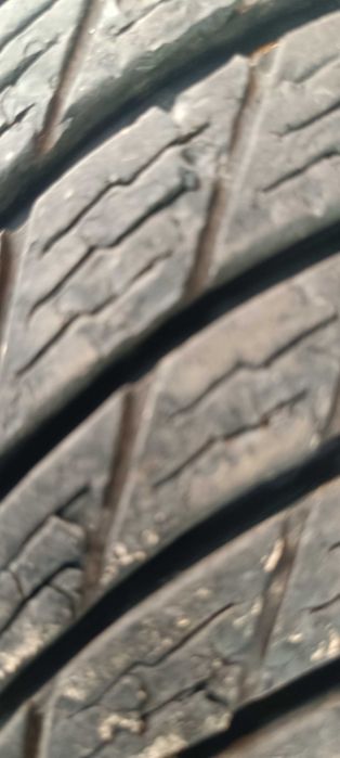 Гуми зимни мишалин