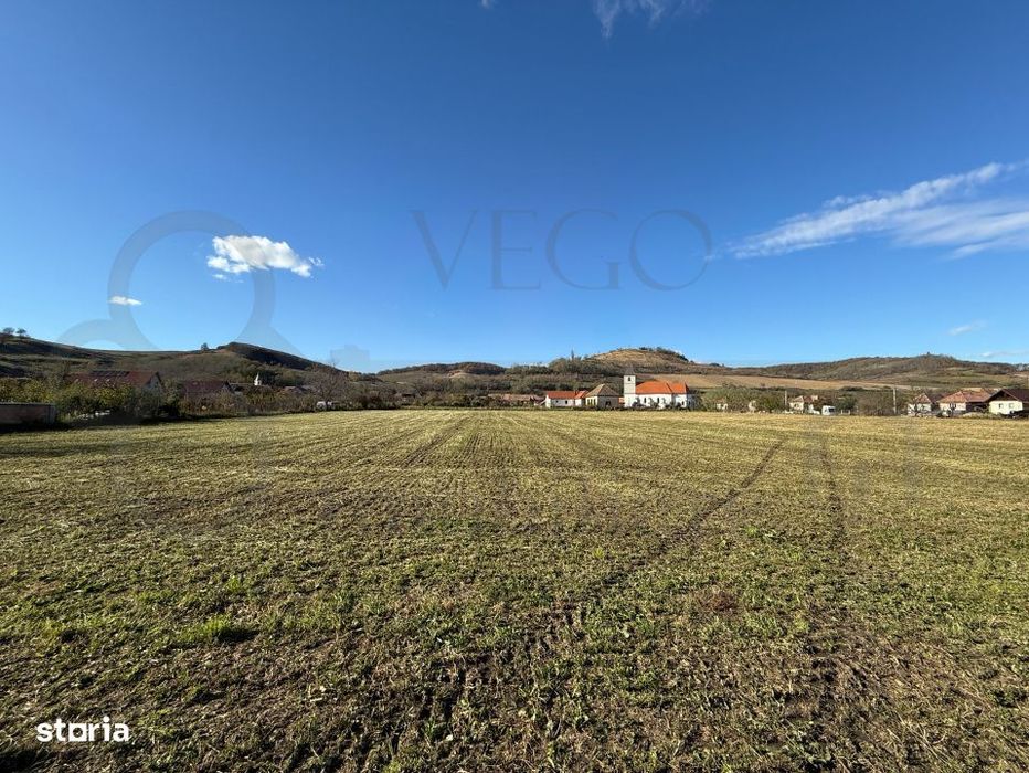 Teren intravilan de vanzare in Alma jud. Sibiu – 7.342 mp