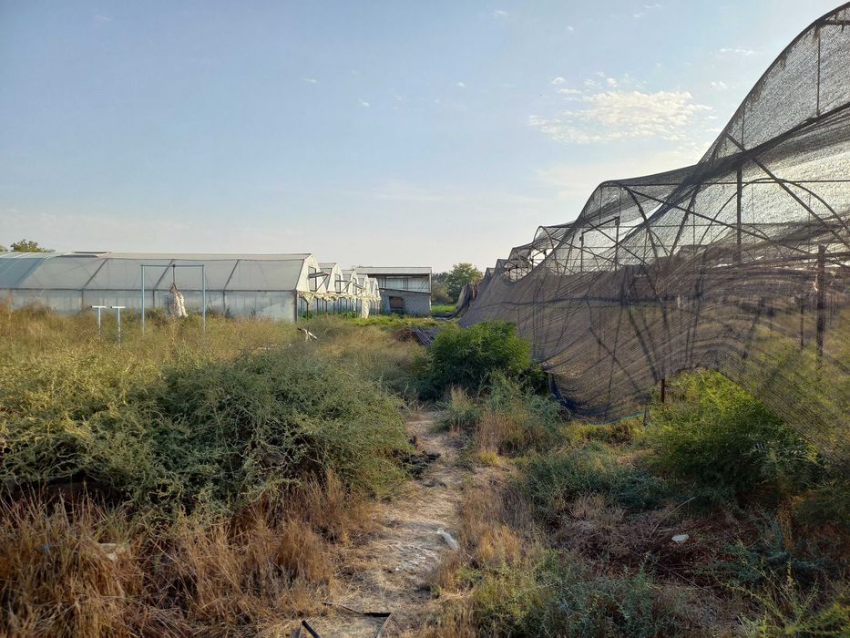 Сирдарё вилояти Сирдарё тумани Малик МФЙда иссиқхона биноси