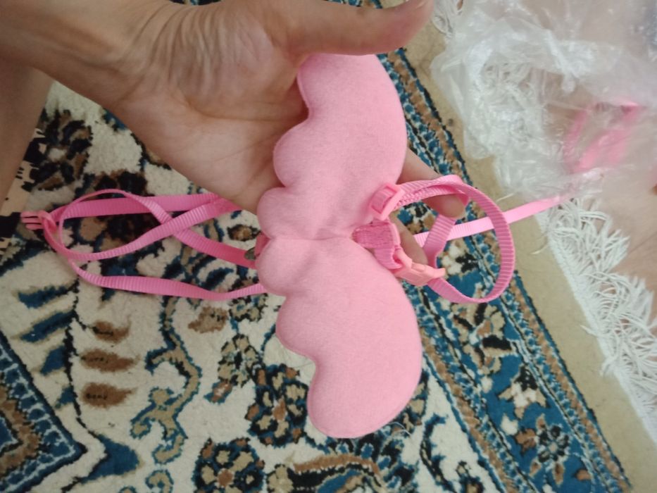 Ошейник и игрушка