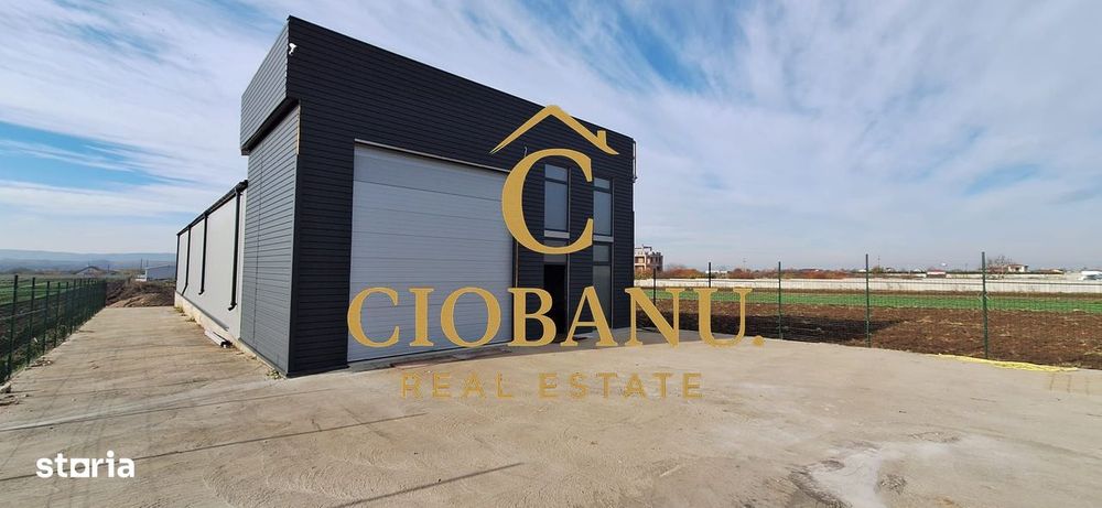 Hala de vanzare in Racari de Jos