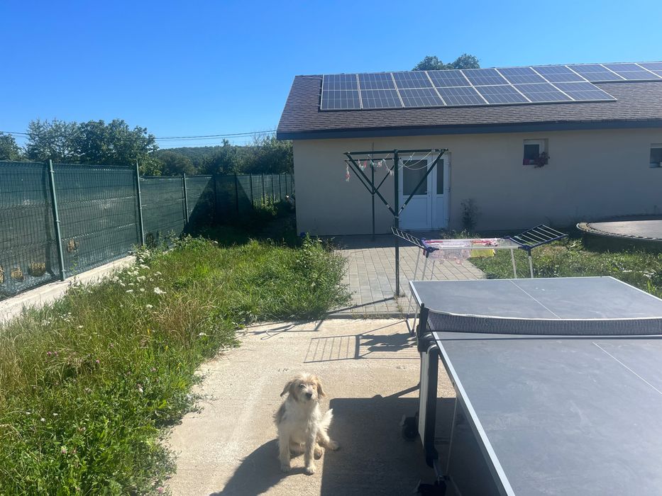 Casă de vânzare/judetul Suceava