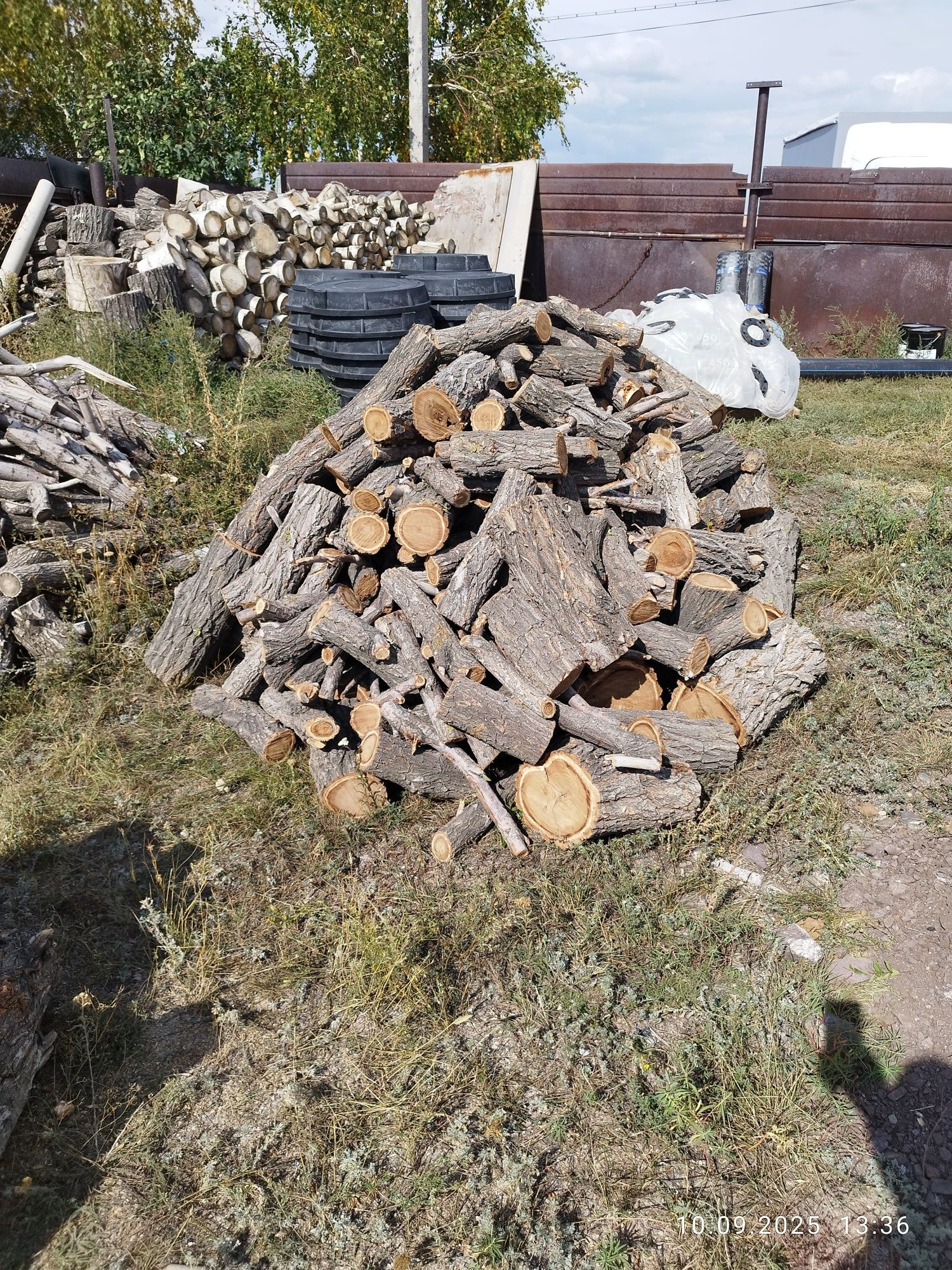 Дрова карагач и немного клён.