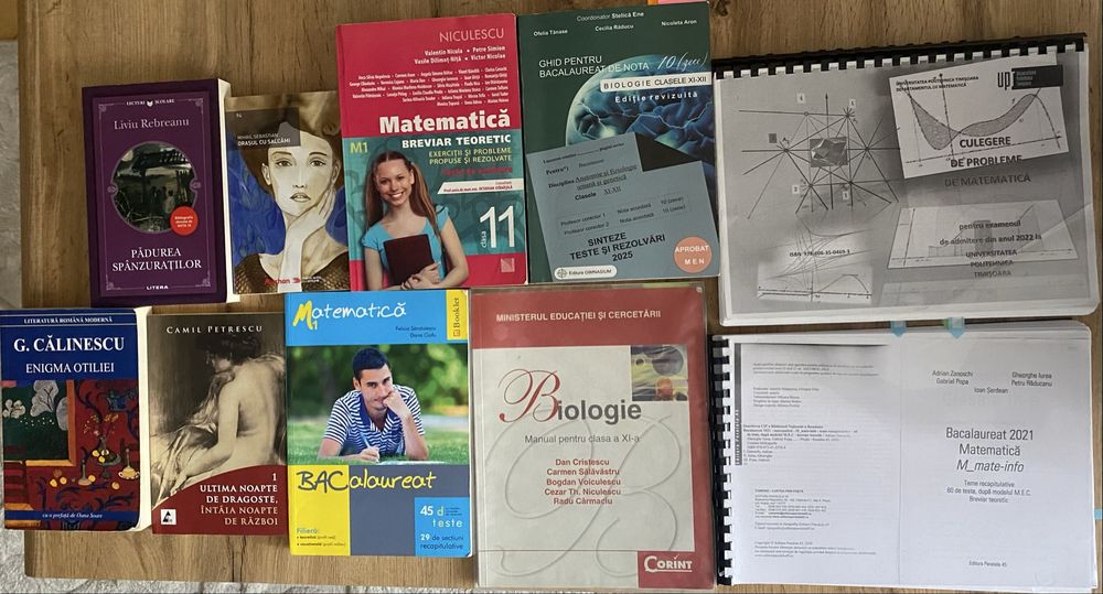 Manuale carti pt Bac si Facultate