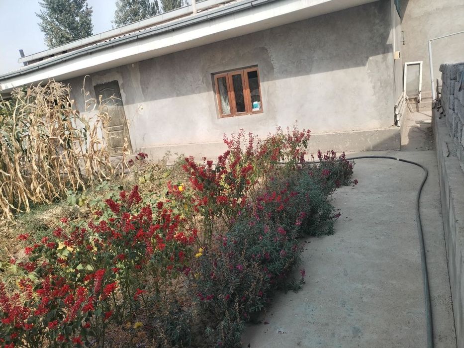 Uchastka sotiladi Bordonkul tomonda