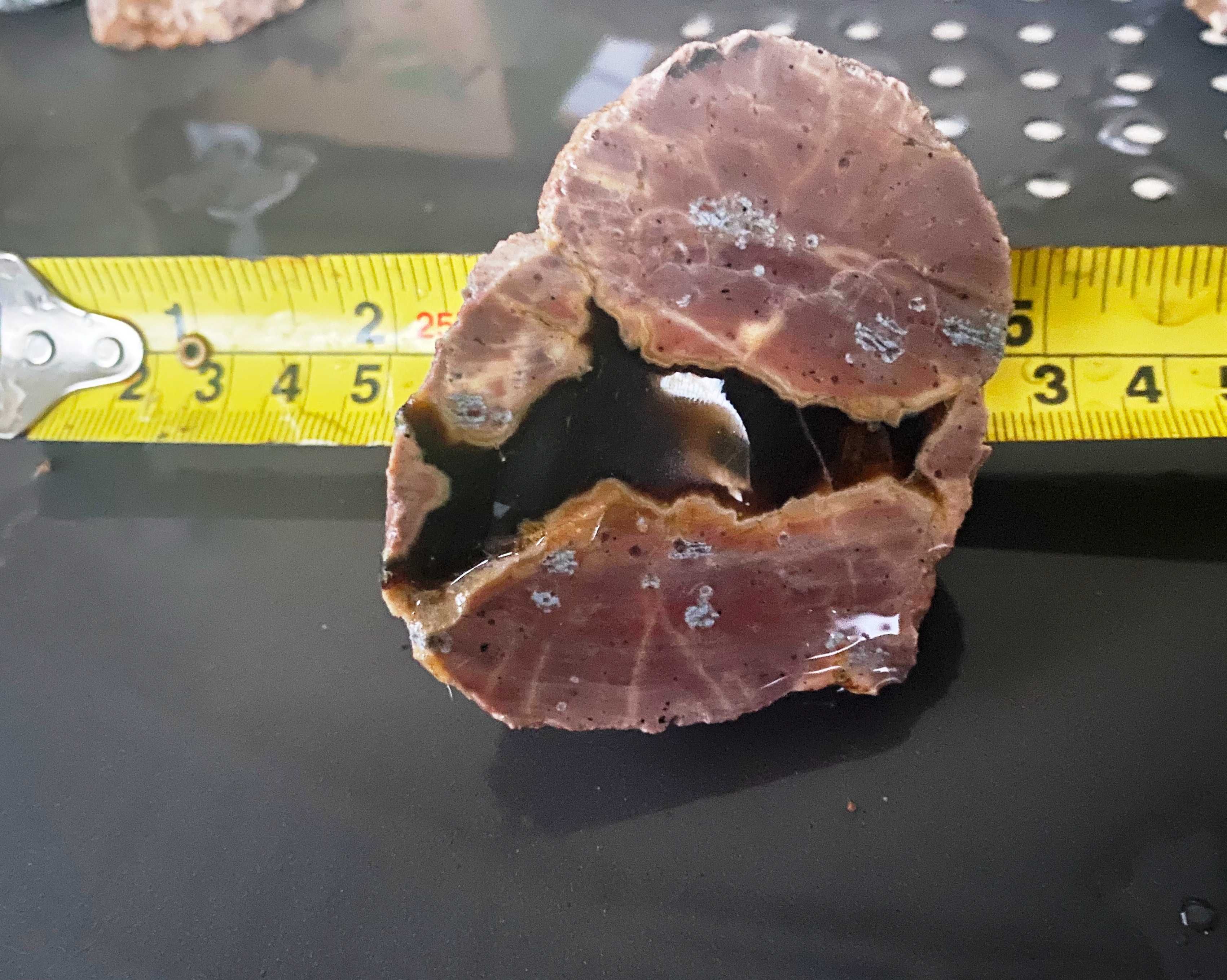 Agate Thunderegg Oregon SUA 3 piese