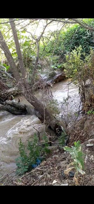 Hovlili 5-xona uy sotiladi yer maydoni (6+7) stux