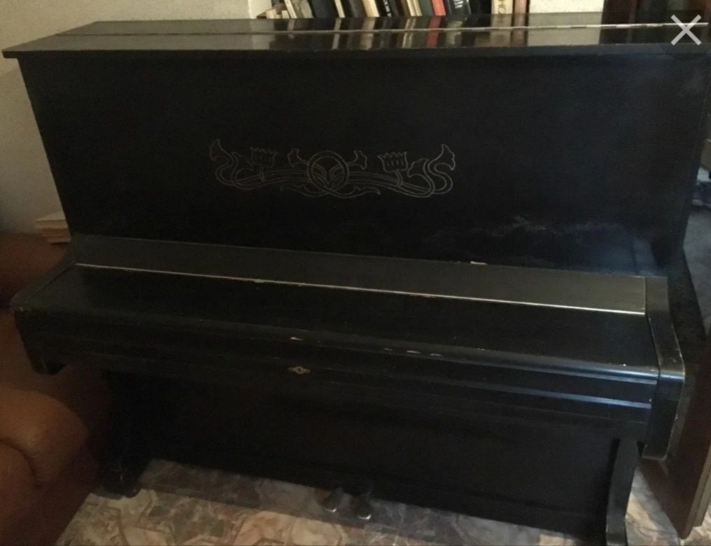 Пианино черного цвета дружба
