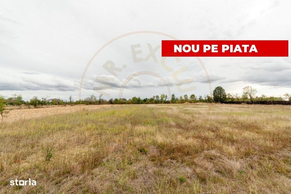 Teren intravilan 3000 mp, Oarja, Arges – amplasament excelent